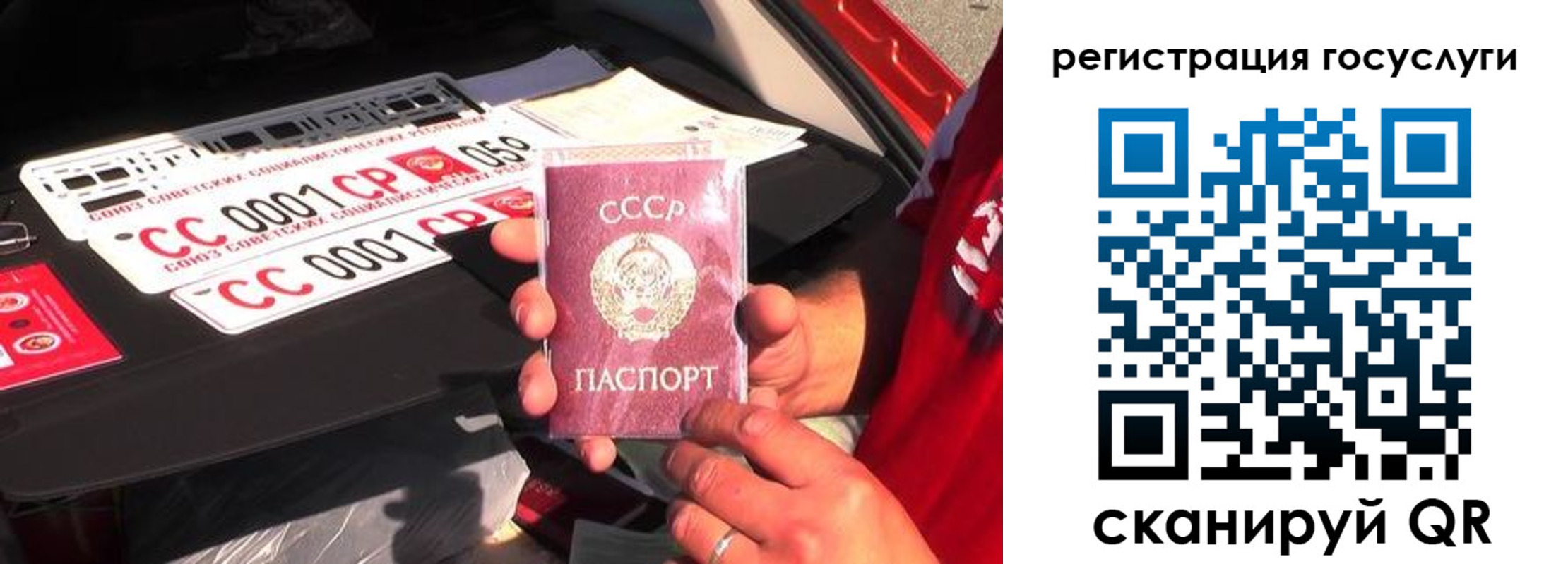 регистрация в Курской области